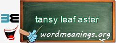 WordMeaning blackboard for tansy leaf aster